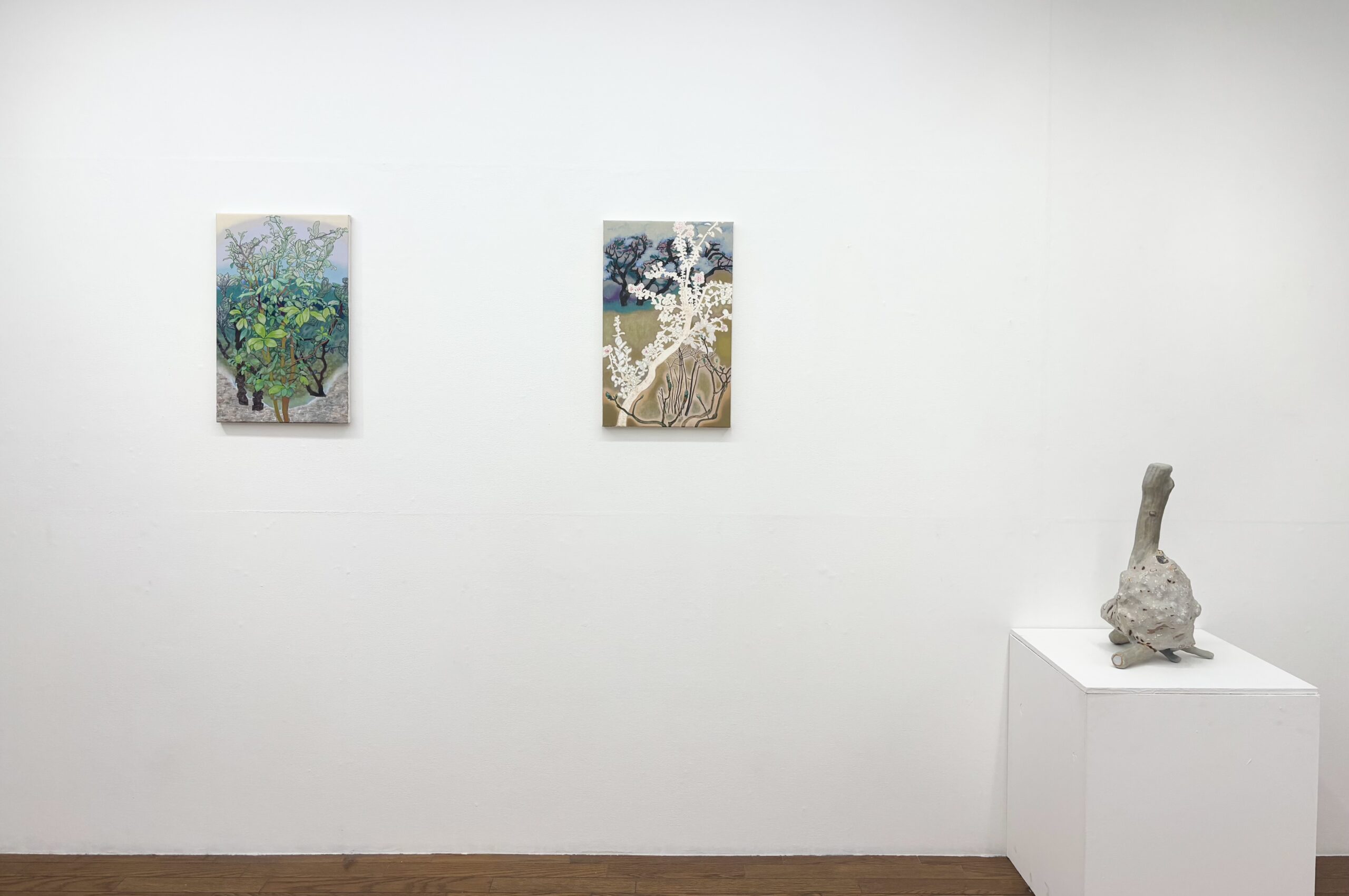 SHOWROOM – Paper works